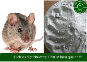 diet-chuot-tai-tphcm-4