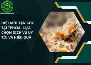 diệt mối tận gốc tại tphcm