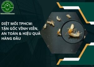 diệt mối tphcm