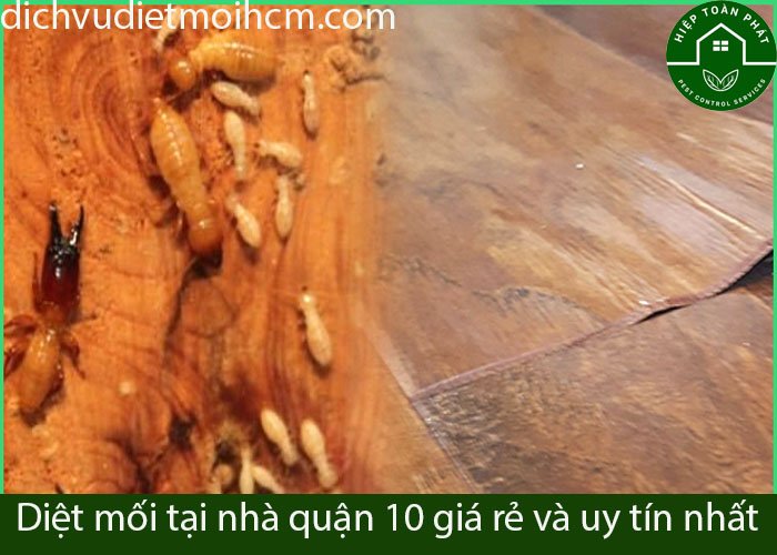 diet-moi-tai-nha-quan-10-5