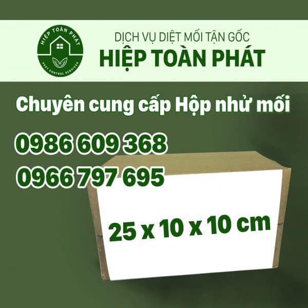 phong-chong-moi-tai-quan-binh-tan