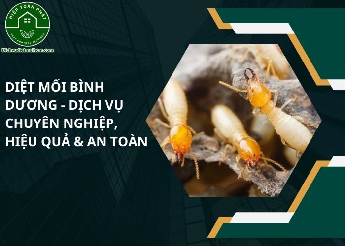 Diệt mối Bình Dương