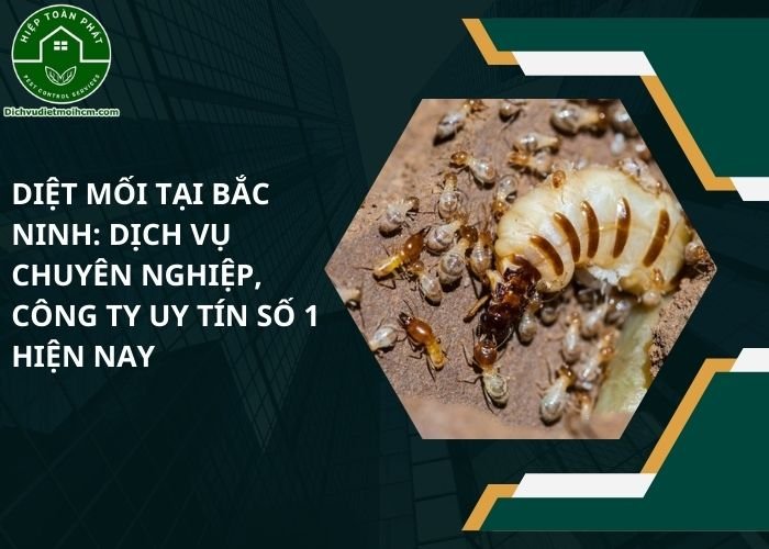 Diệt mối tại Bắc Ninh