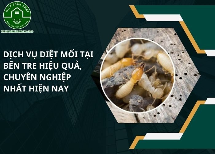 Dịch vụ diệt mối tại Bến Tre