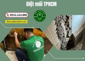 Diệt mối TPHCM