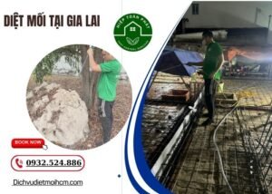 Diệt mối tại Gia Lai