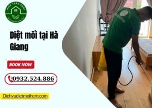 Diệt mối tại Hà Giang