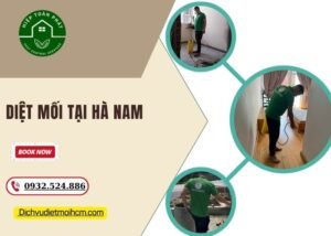 Diệt mối tại Hà Nam