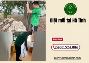 Diệt mối tại Hà Tĩnh