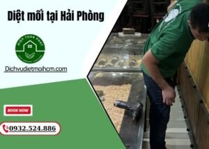 Diệt mối tại Hải Phòng