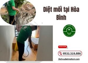 Diệt mối tại Hòa Bình