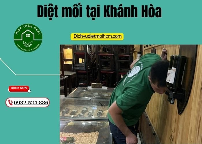 Diệt mối tại Khánh Hòa