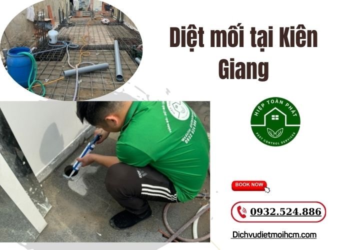 Diệt mối tại Kiên Giang