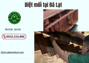 Diệt mối tại Đà Lạt