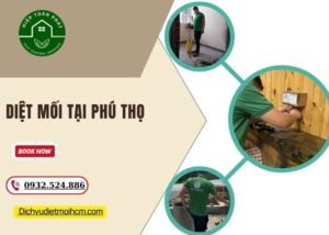 Diệt mối tại Phú Thọ