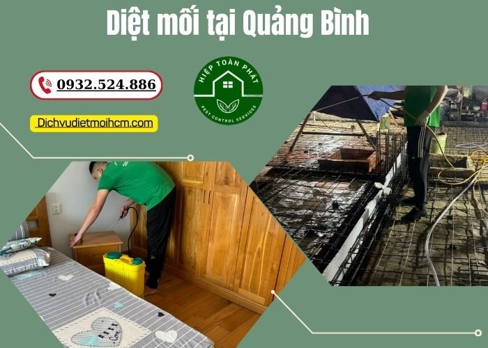 Diệt mối tại Quảng Bình