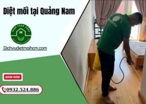 Diệt mối tại Quảng Nam