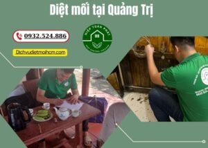 Diệt mối tại Quảng Trị