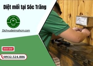 Diệt mối tại Sóc Trăng