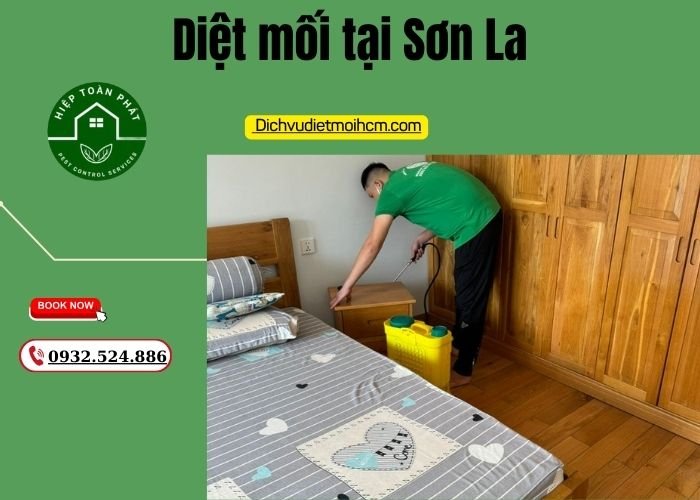 Diệt mối tại Sơn La