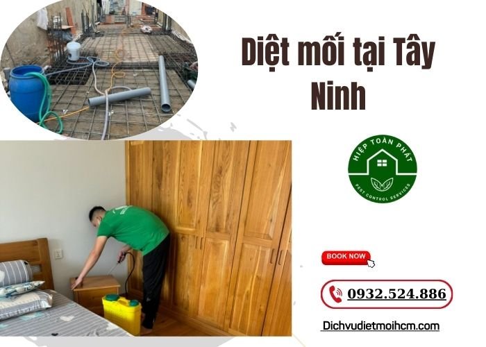 Diệt mối tại Tây Ninh