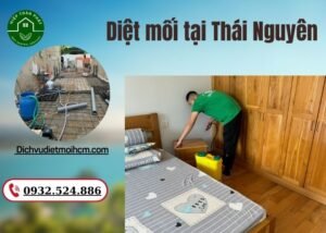 Diệt mối tại Thái Nguyên