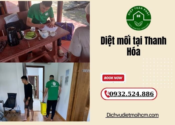 Diệt mối tại Thanh Hóa