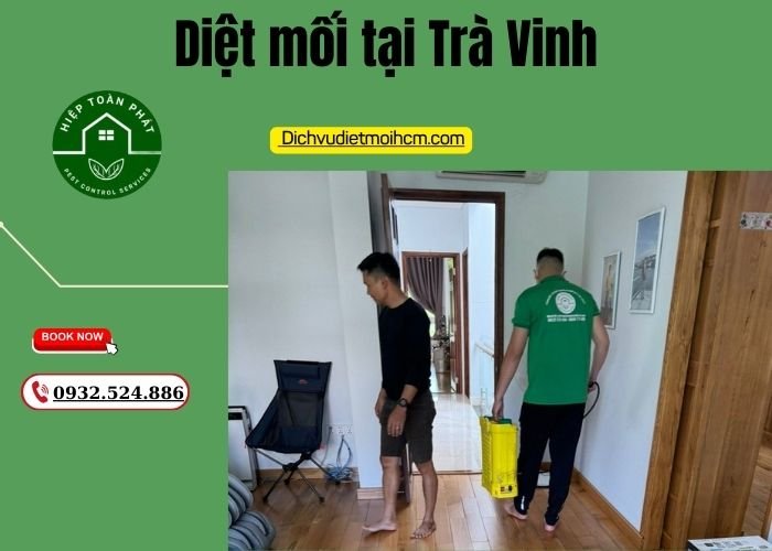 Diệt mối tại Trà Vinh