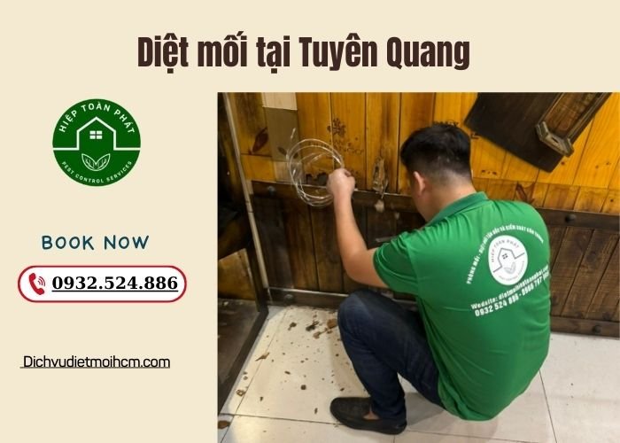 Diệt mối tại Tuyên Quang