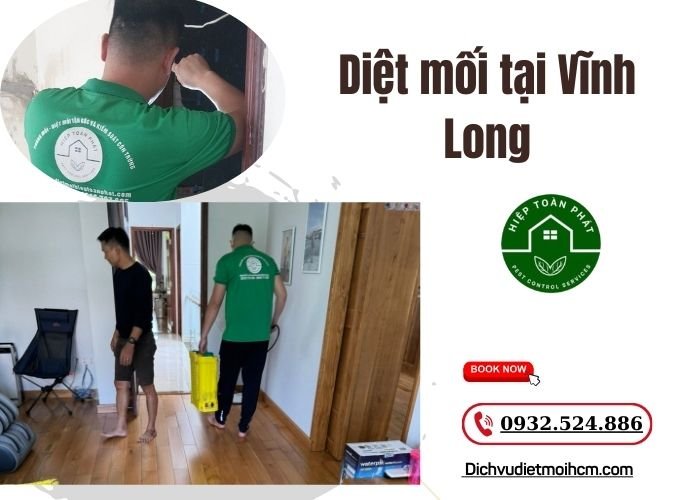 Diệt mối tại Vĩnh Long