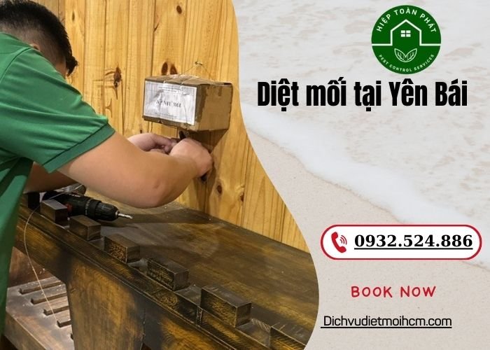 Diệt mối tại Yên Bái